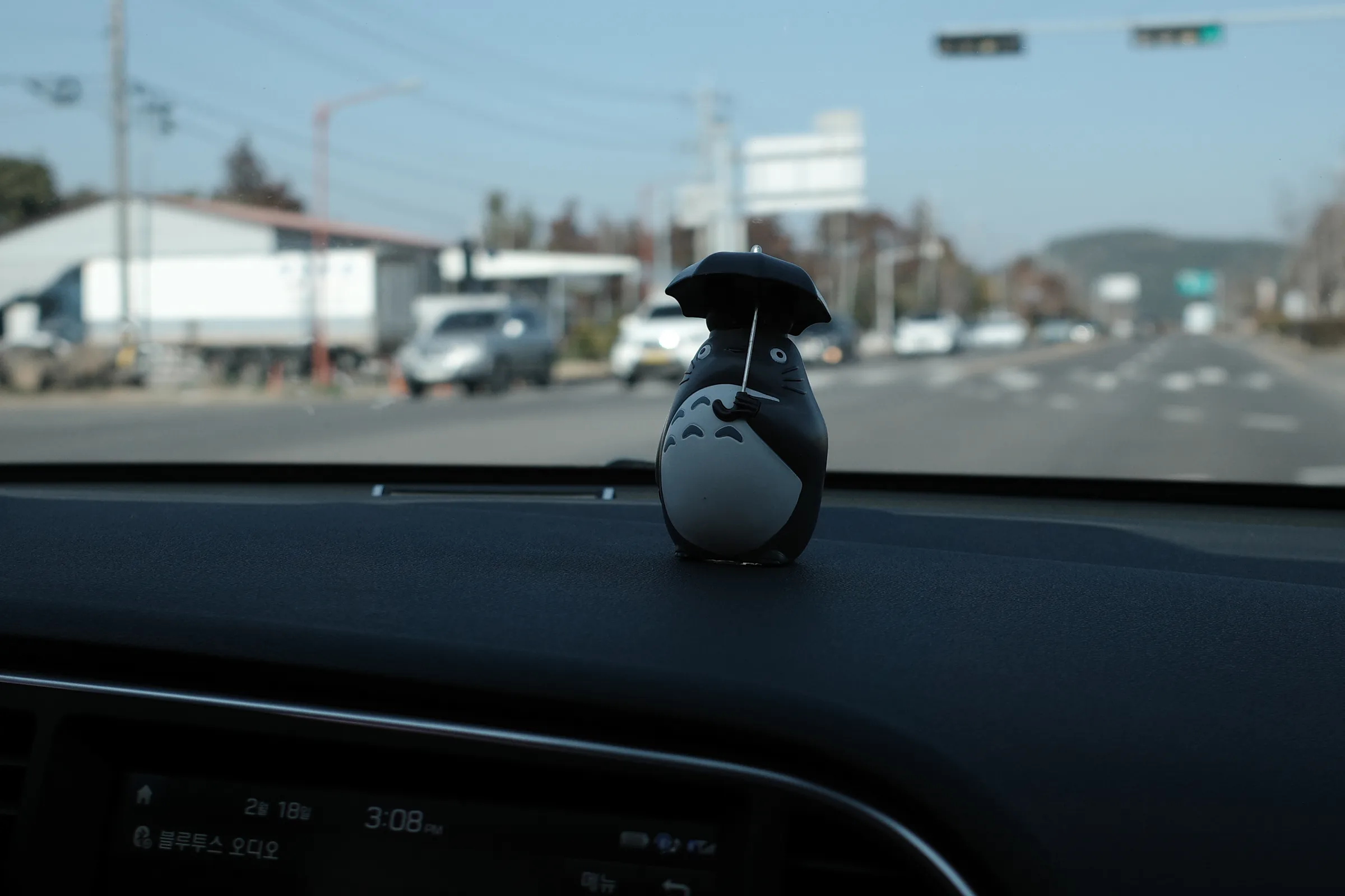 A figure on the dashboard