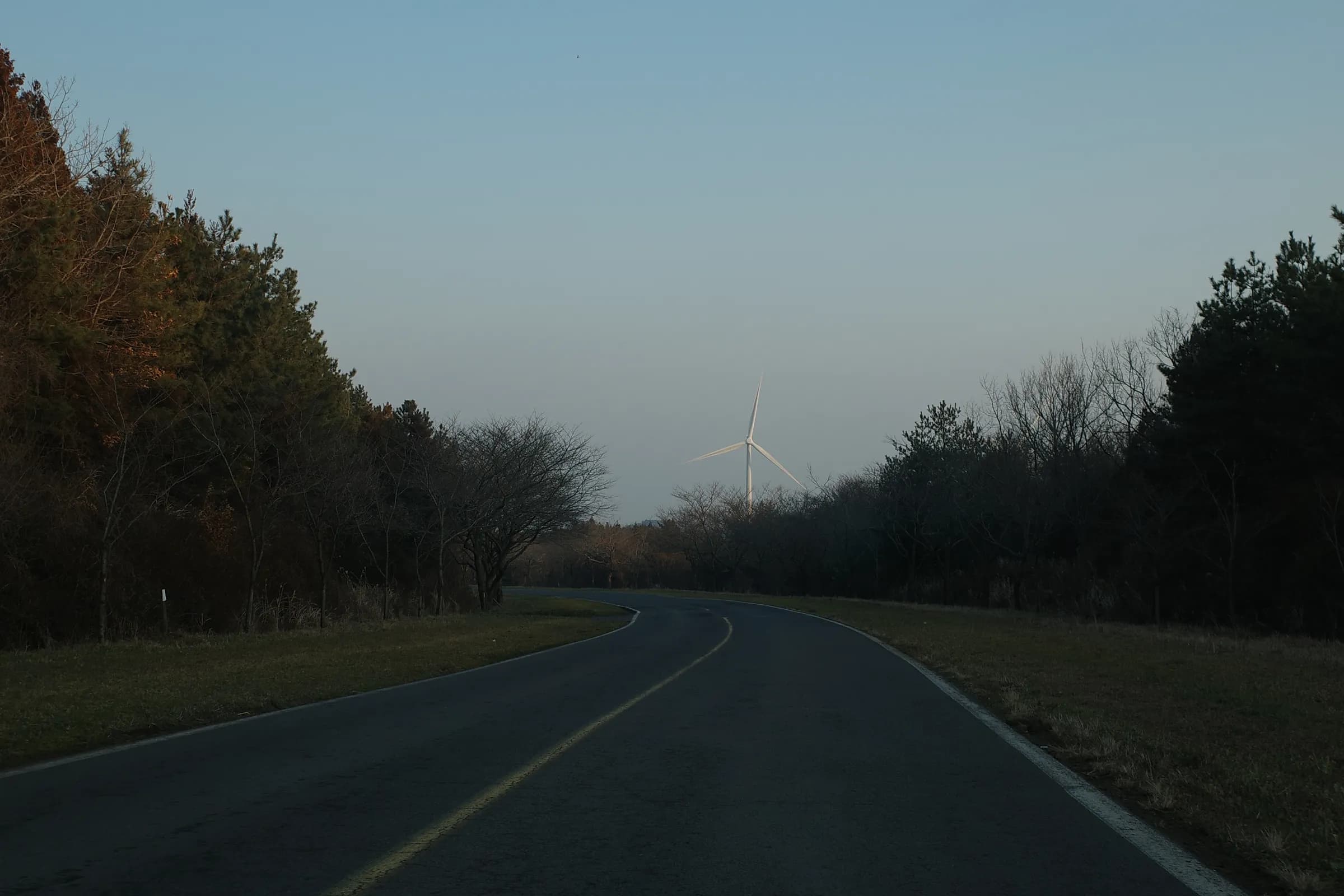 An empty road at dusk