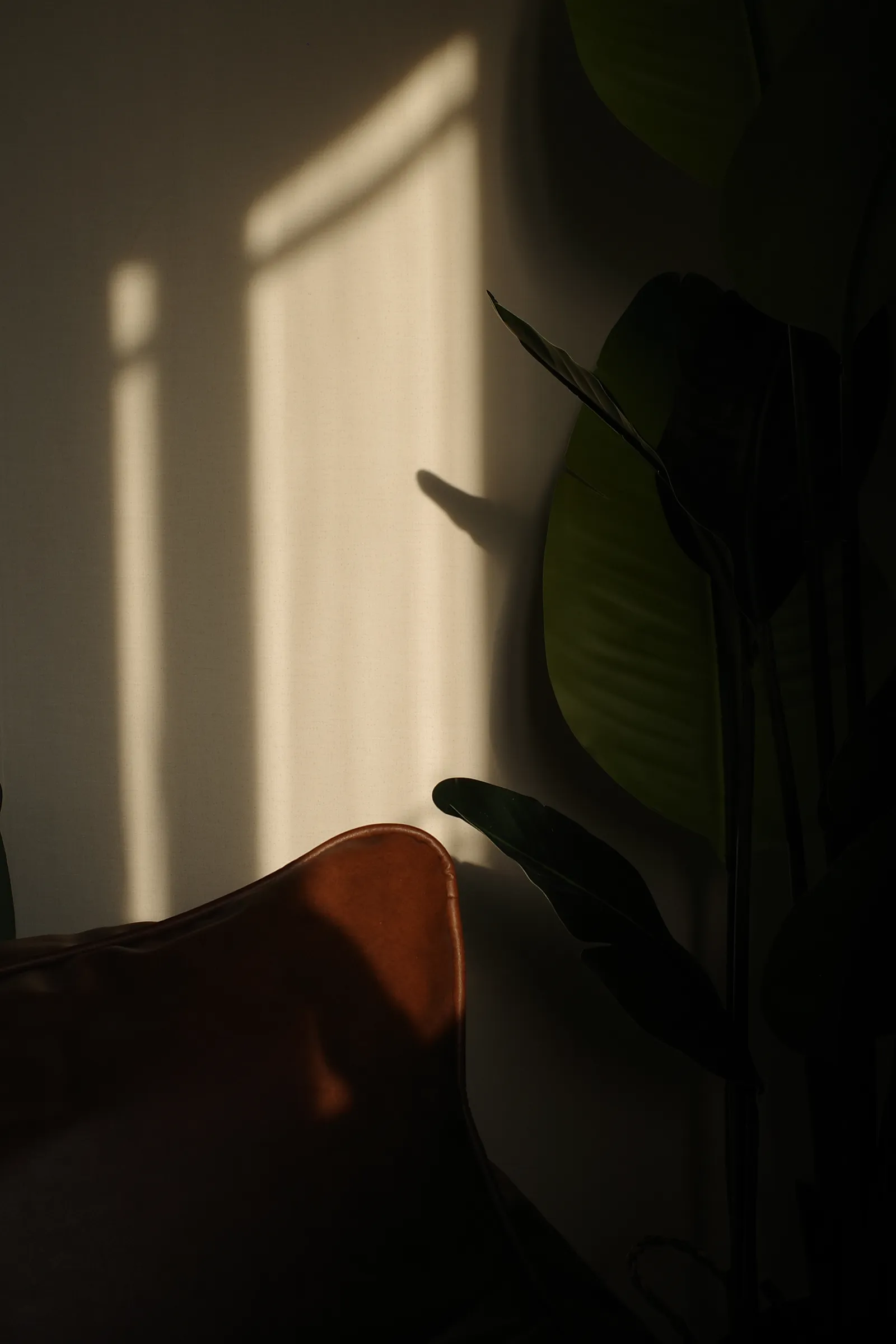 Warm light on a wall